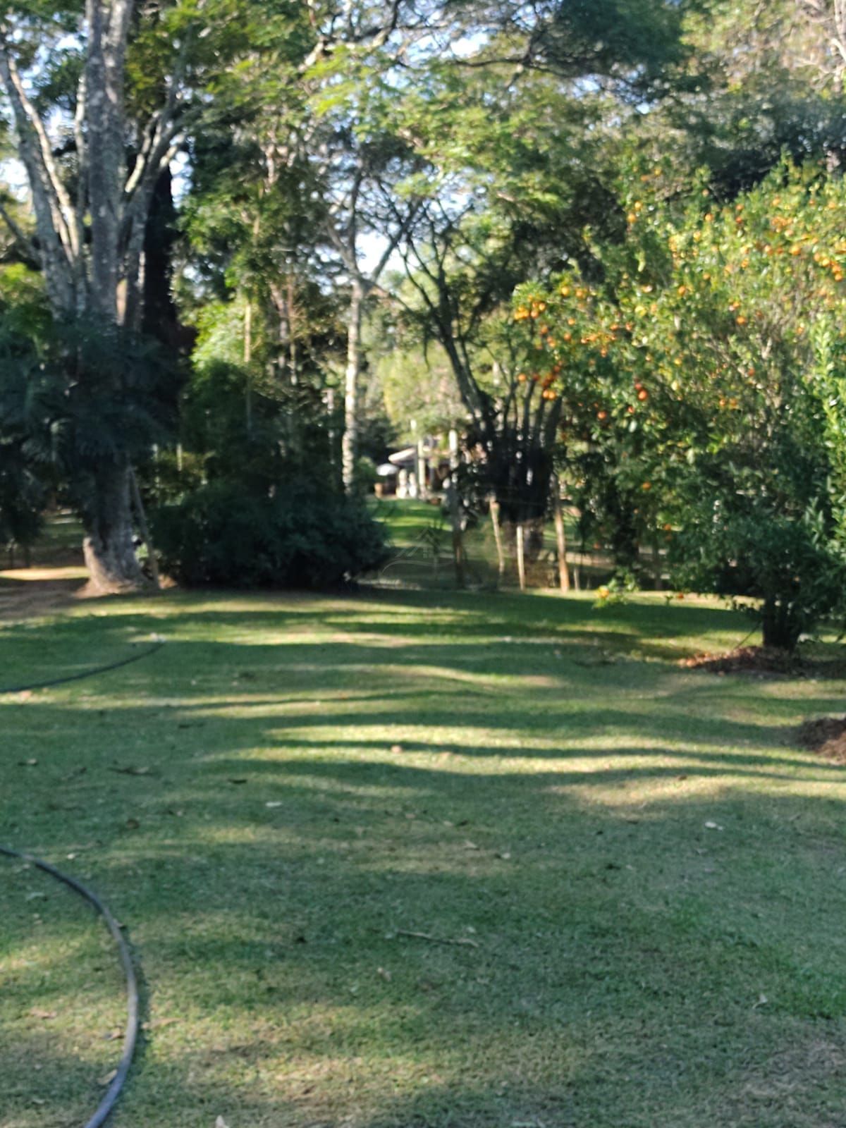 Sítio, 2 quartos, 4 hectares - Foto 13