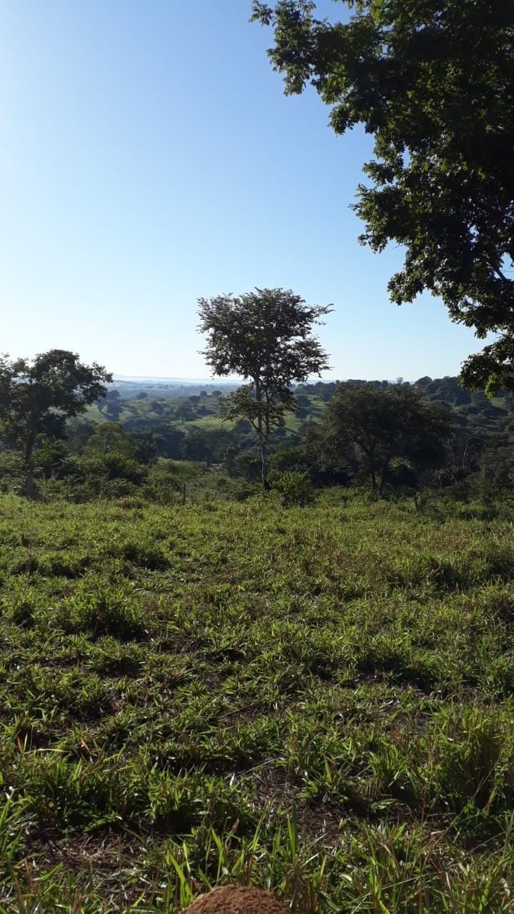 Fazenda, 740 hectares - Foto 7