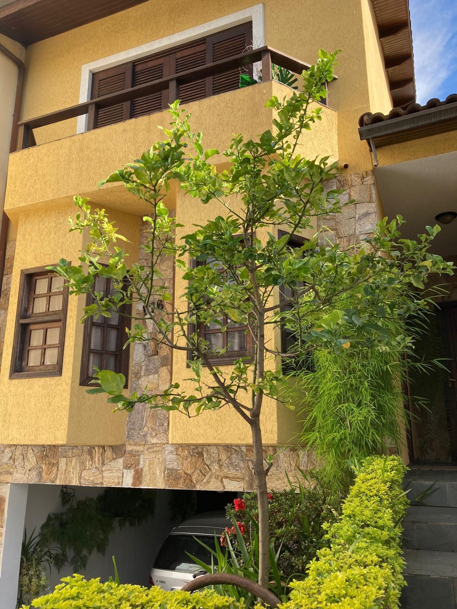 Casa, 2 quartos, 180 m² - Foto 1