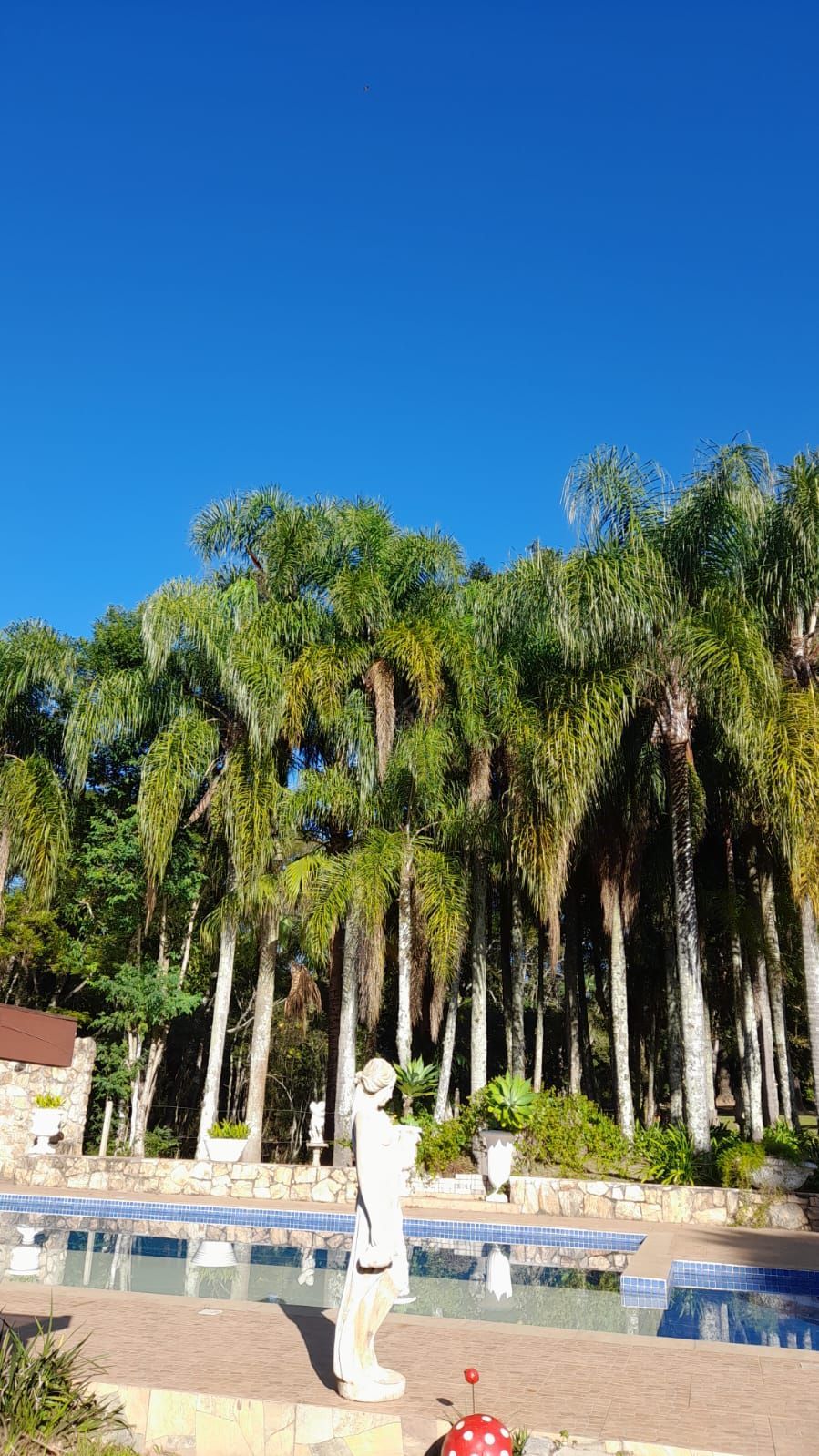 Sítio, 2 quartos, 4 hectares - Foto 15