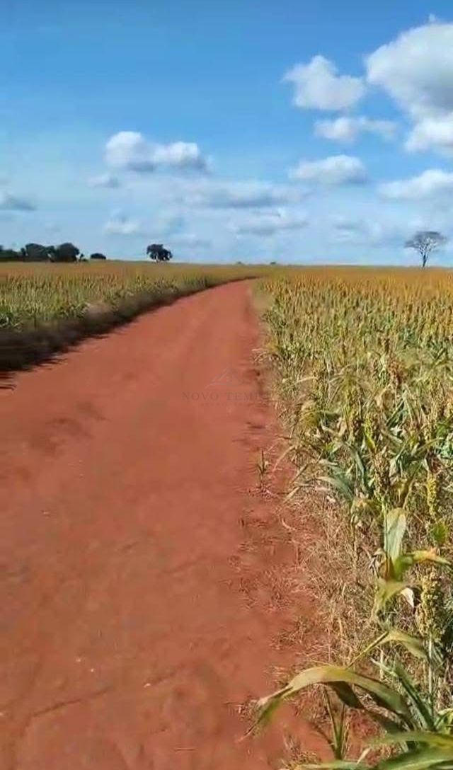 Fazenda, 1225 hectares - Foto 2