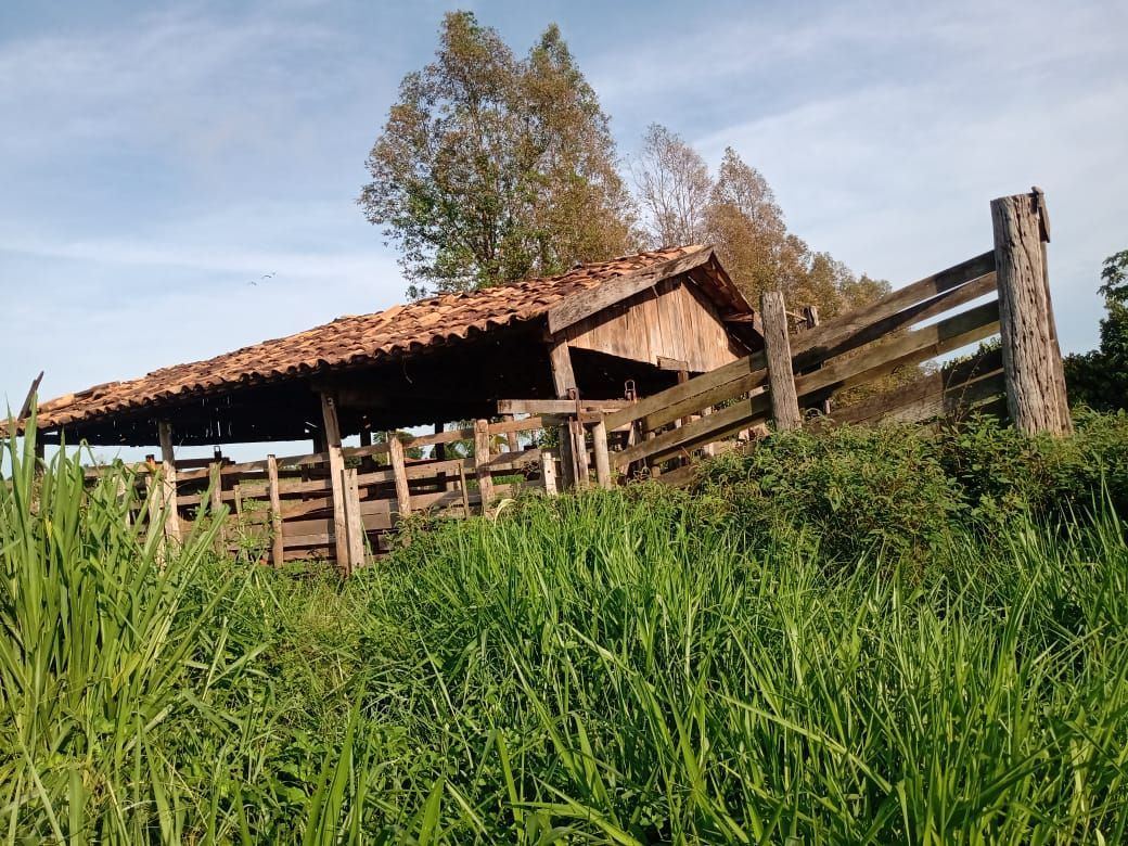 Chácara, 2 quartos, 24 hectares - Foto 6