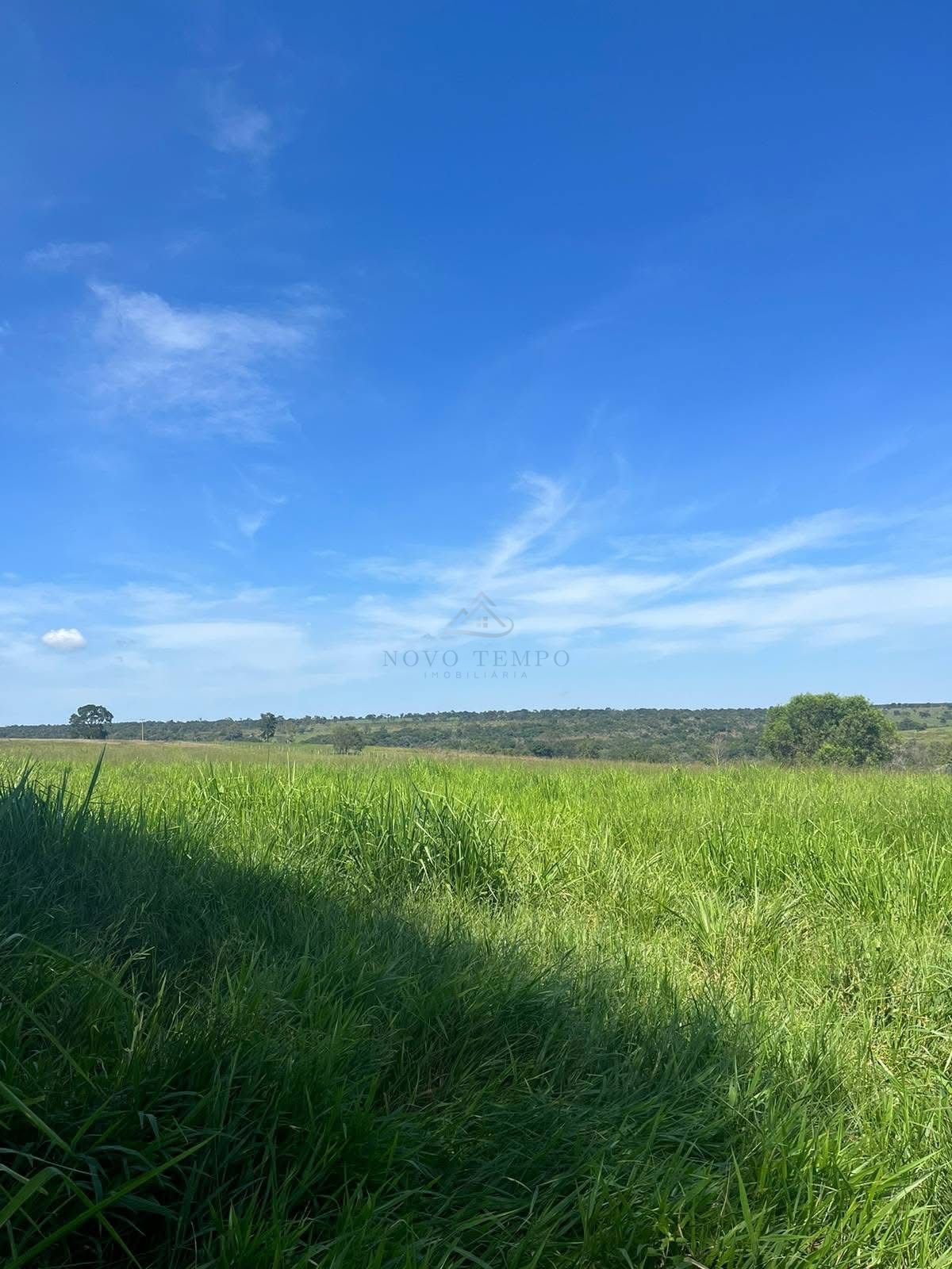 Fazenda, 321 hectares - Foto 12