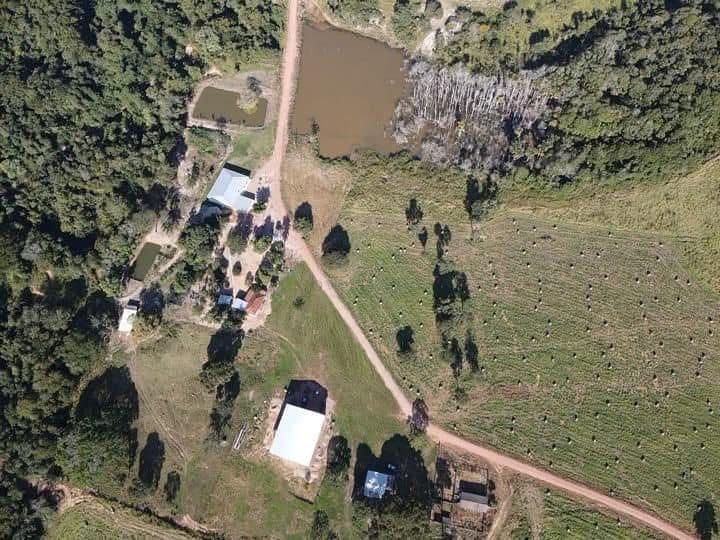 Fazenda, 1800 hectares - Foto 8