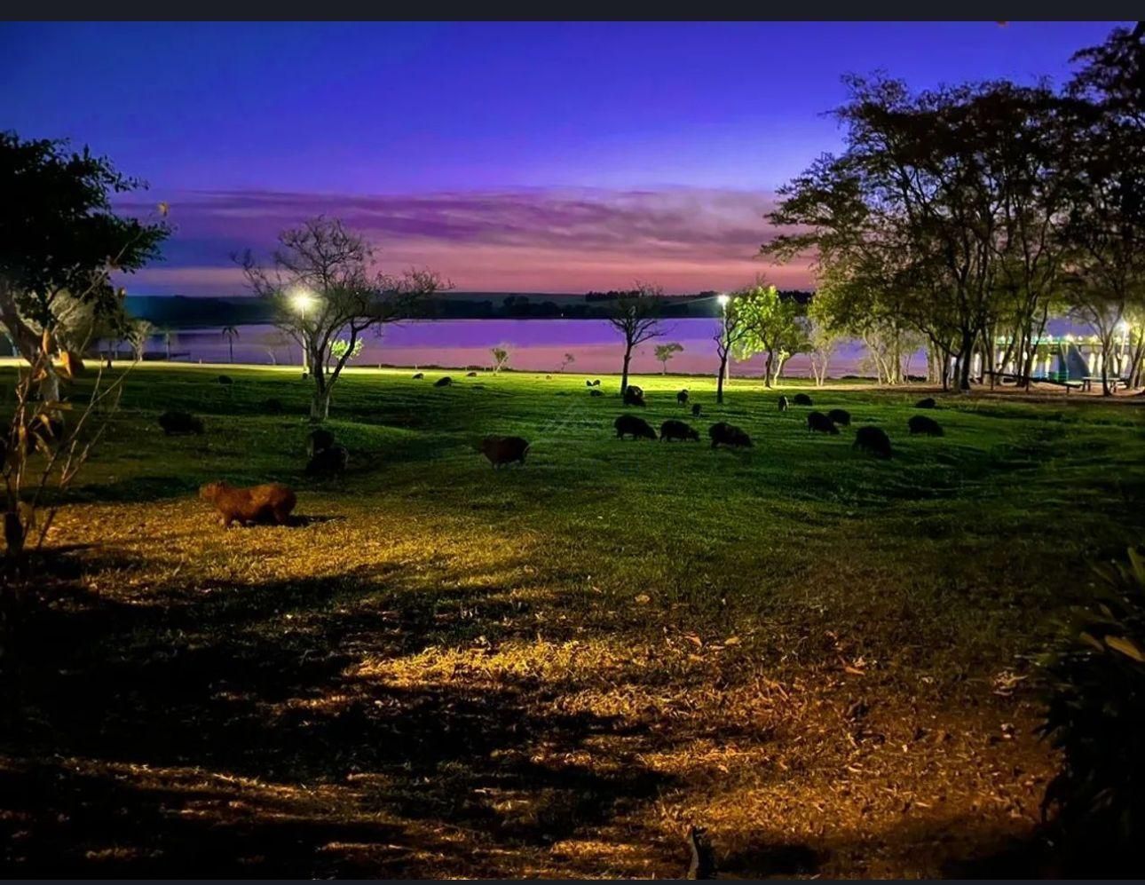 Casa, 3 quartos, 180 m² - Foto 10