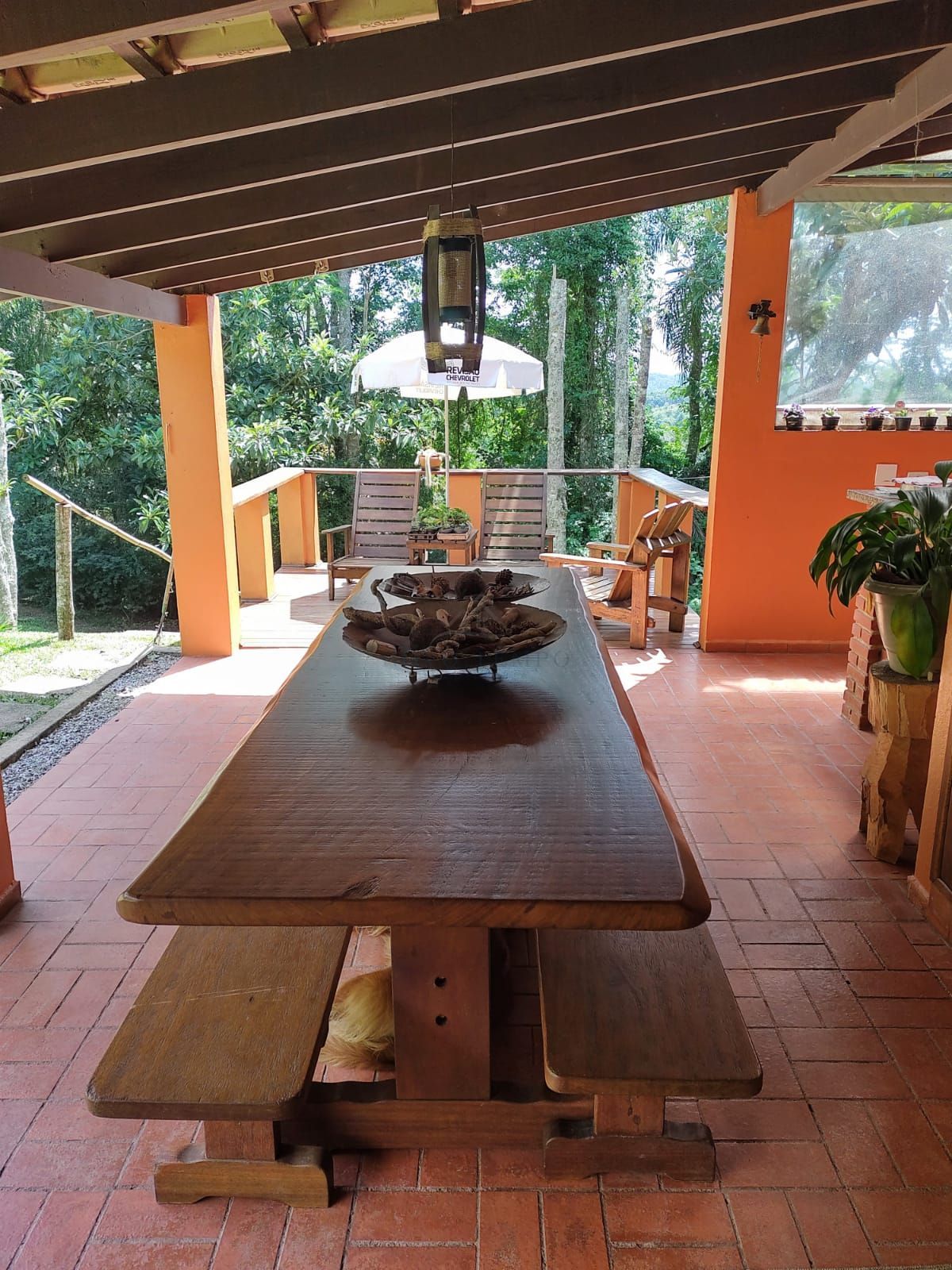 Sítio, 2 quartos, 4 hectares - Foto 9