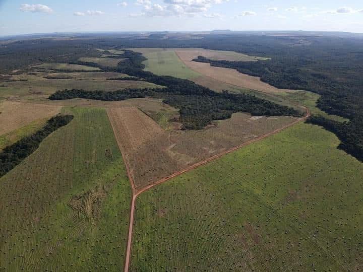 Fazenda, 1800 hectares - Foto 7