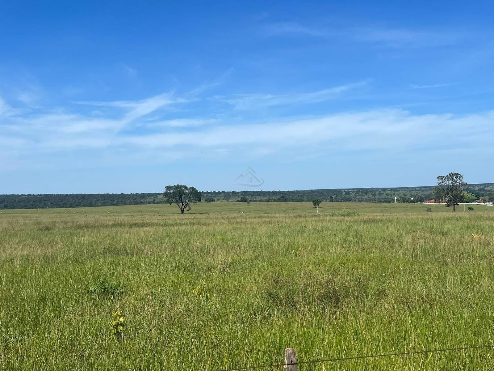 Fazenda, 321 hectares - Foto 1