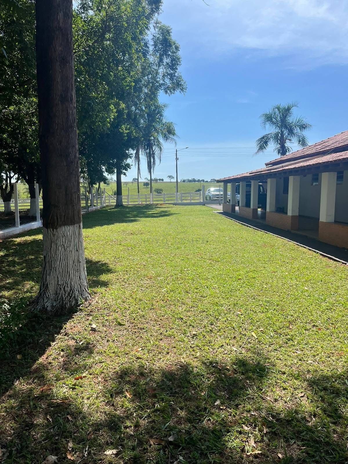 Fazenda, 321 hectares - Foto 16