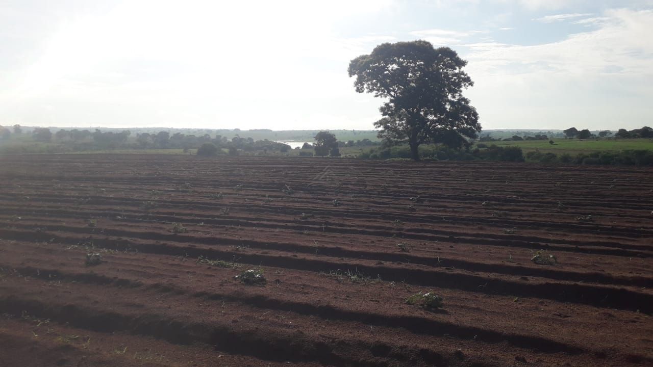 Chácara, 2 quartos, 24 hectares - Foto 3