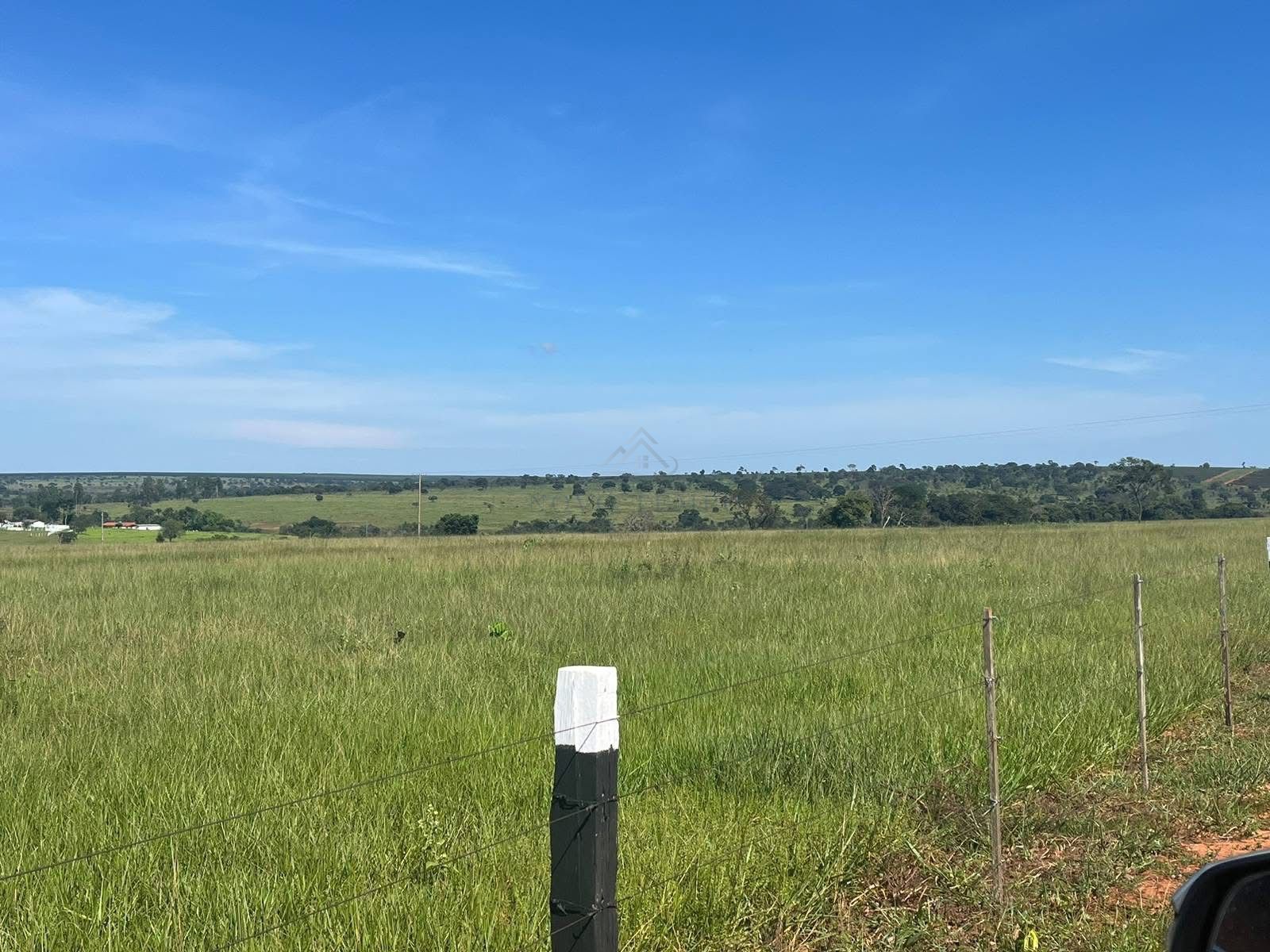 Fazenda, 321 hectares - Foto 2