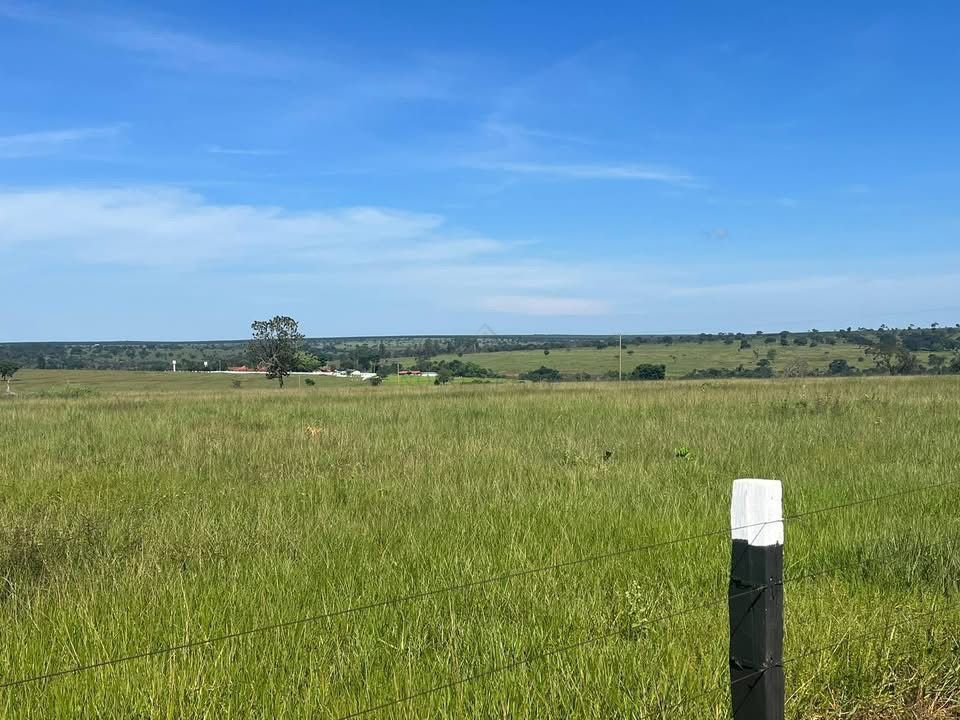 Fazenda, 321 hectares - Foto 17