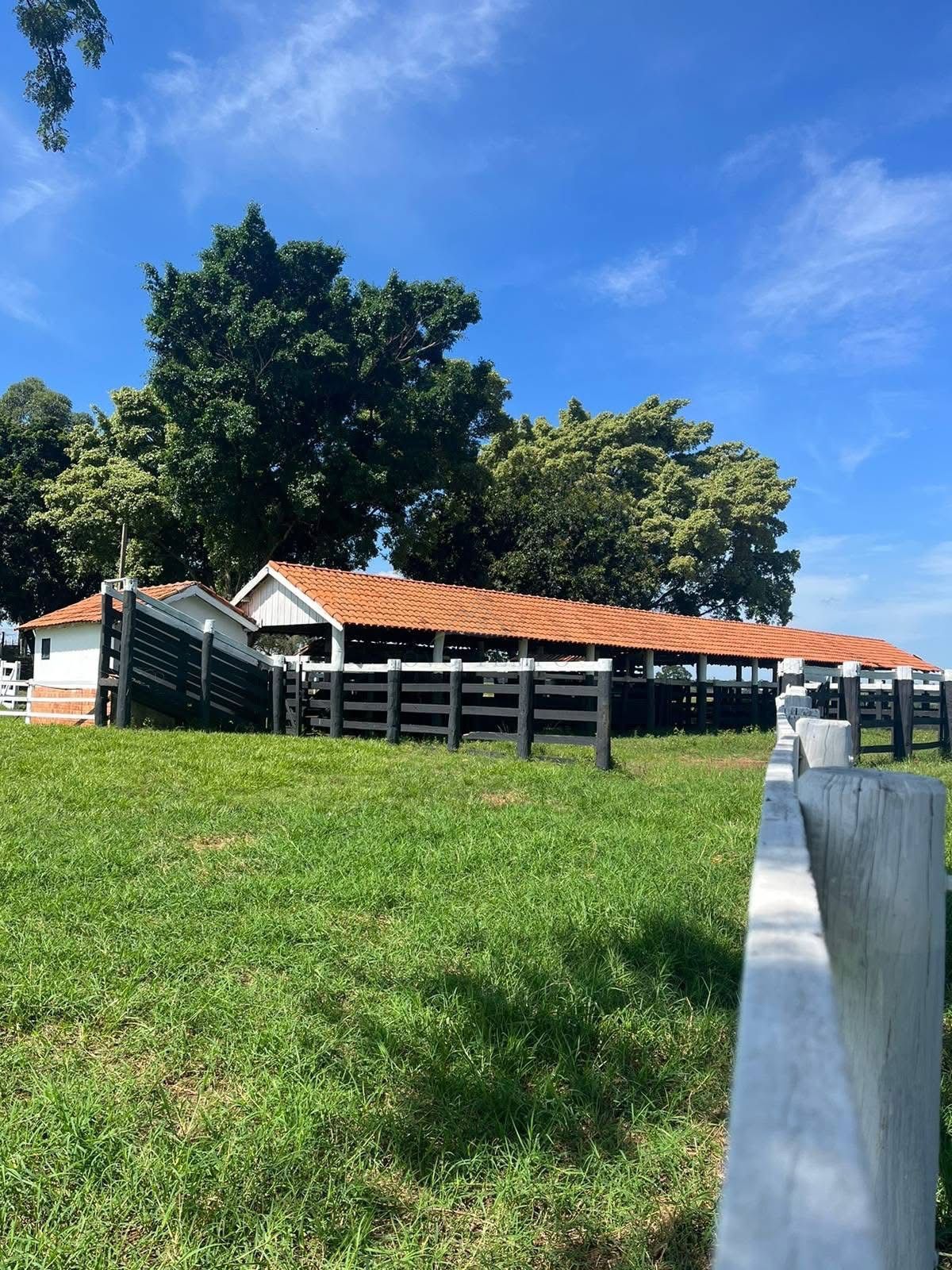 Fazenda, 321 hectares - Foto 13