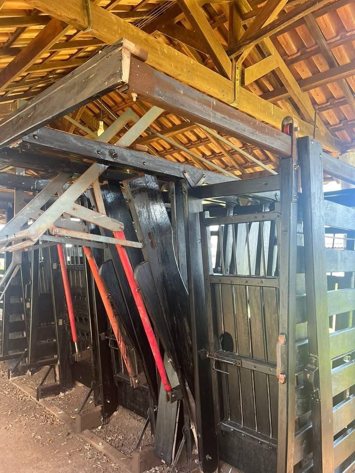 Fazenda, 321 hectares - Foto 15