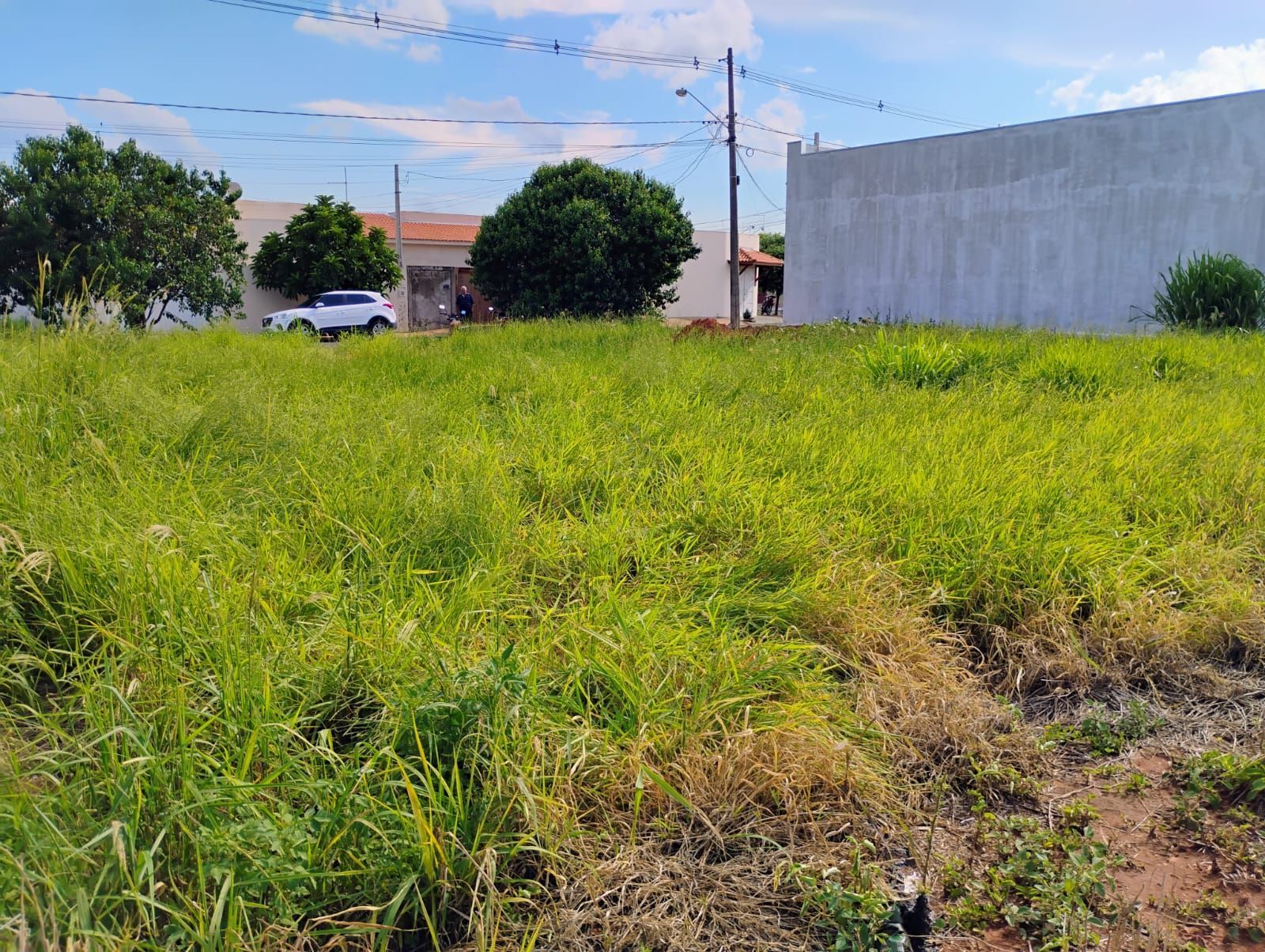 Terreno, 255 m² - Foto 5