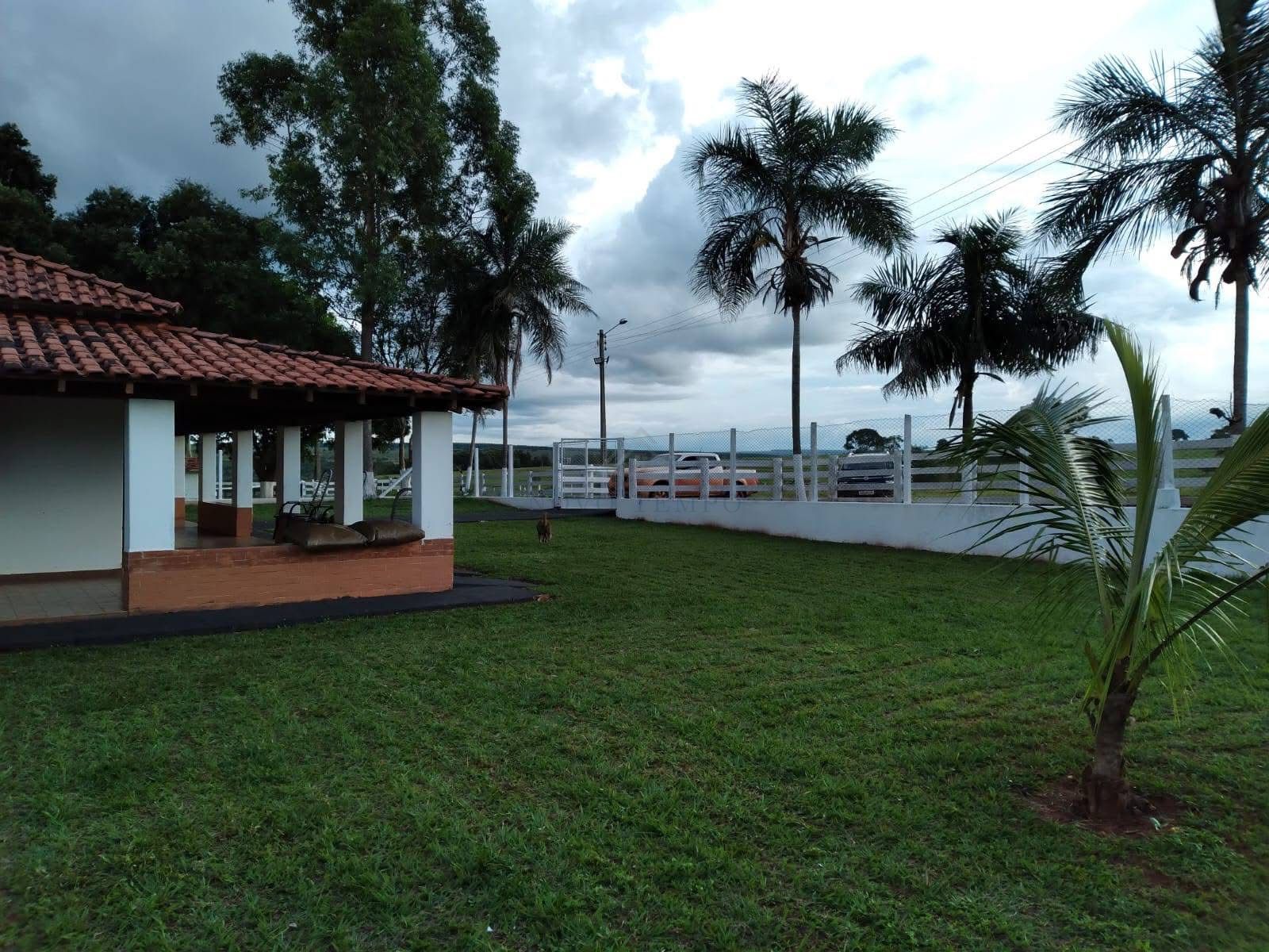 Fazenda, 321 hectares - Foto 14