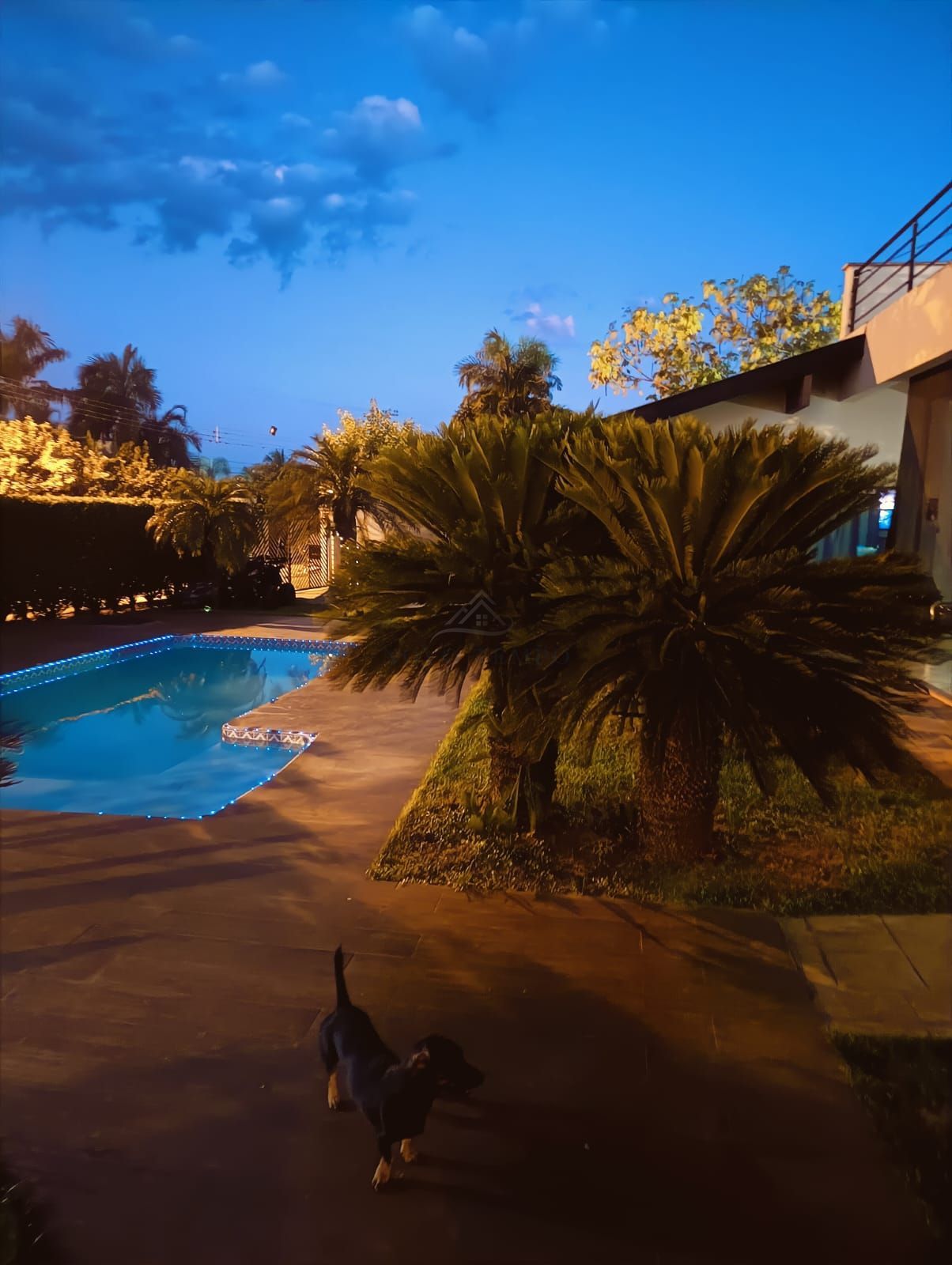 Sítio, 5 quartos, 500 m² - Foto 6