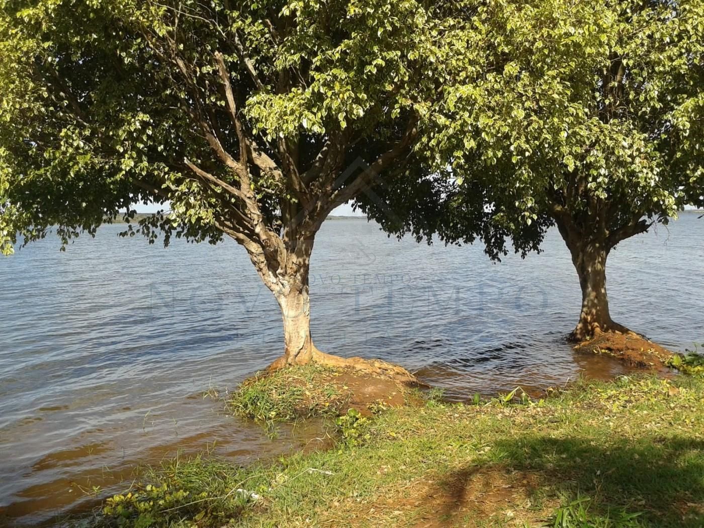 Chácara, 2 quartos, 499 m² - Foto 16