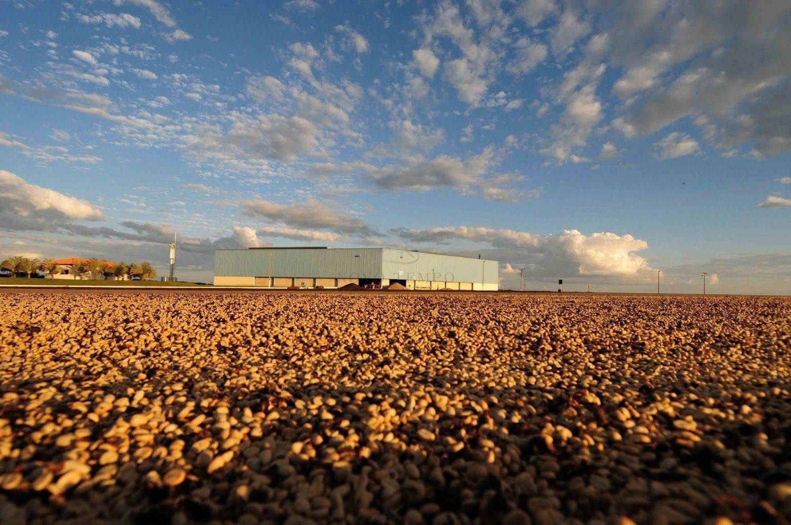 Fazenda, 5300 hectares - Foto 1