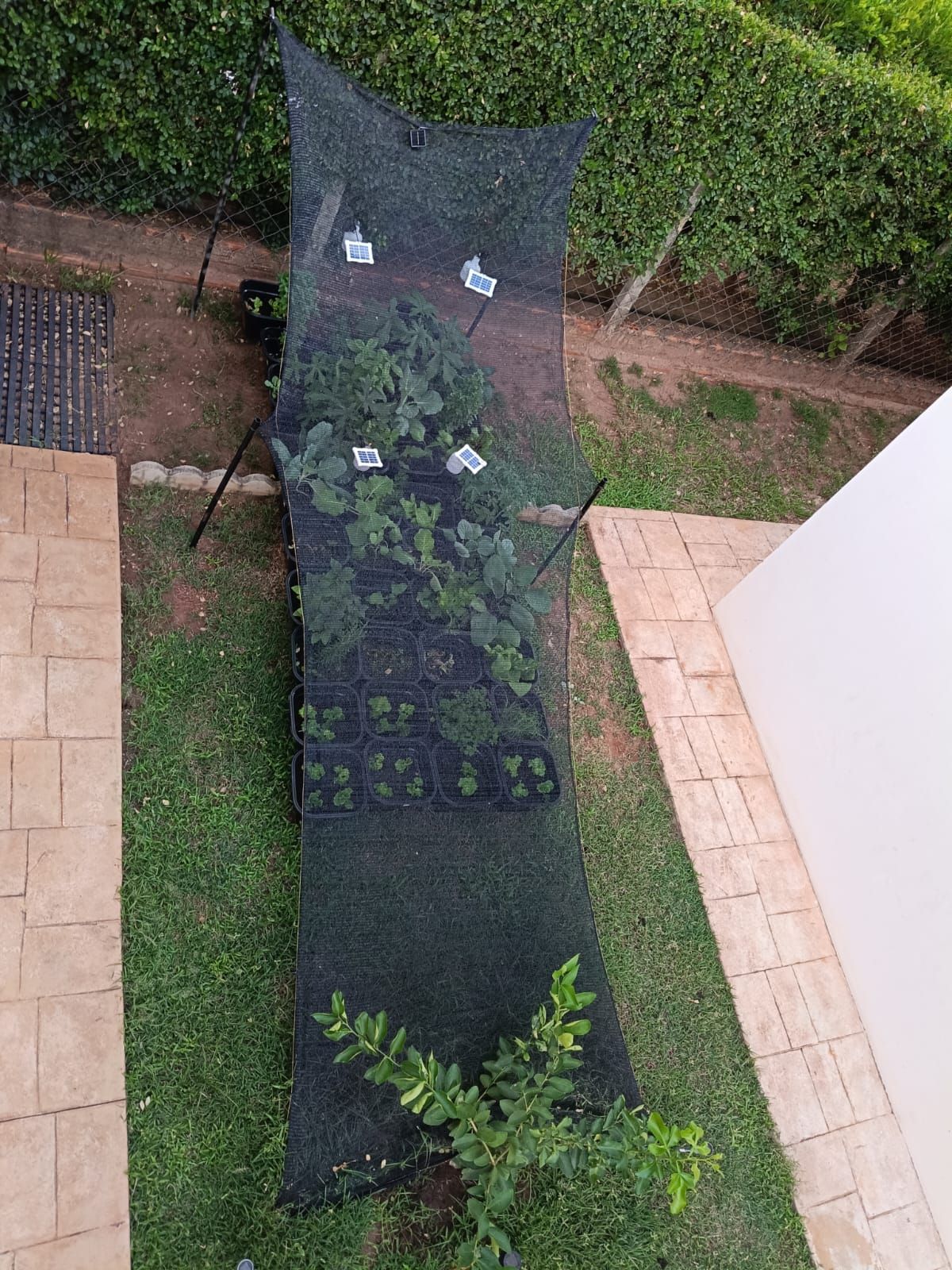Sítio, 5 quartos, 500 m² - Foto 63