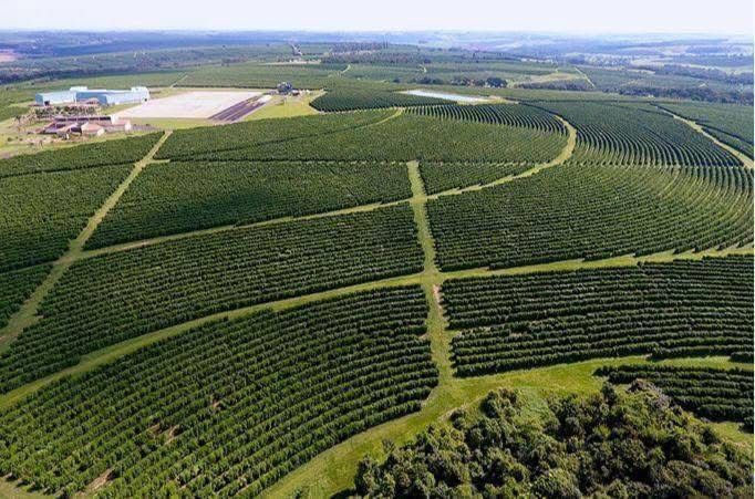 Fazenda, 5300 hectares - Foto 3