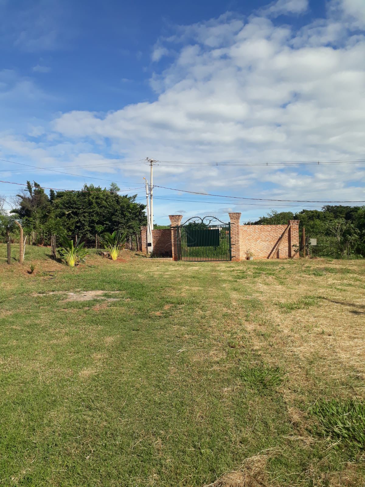 Sítio, 2 quartos, 5000 m² - Foto 4