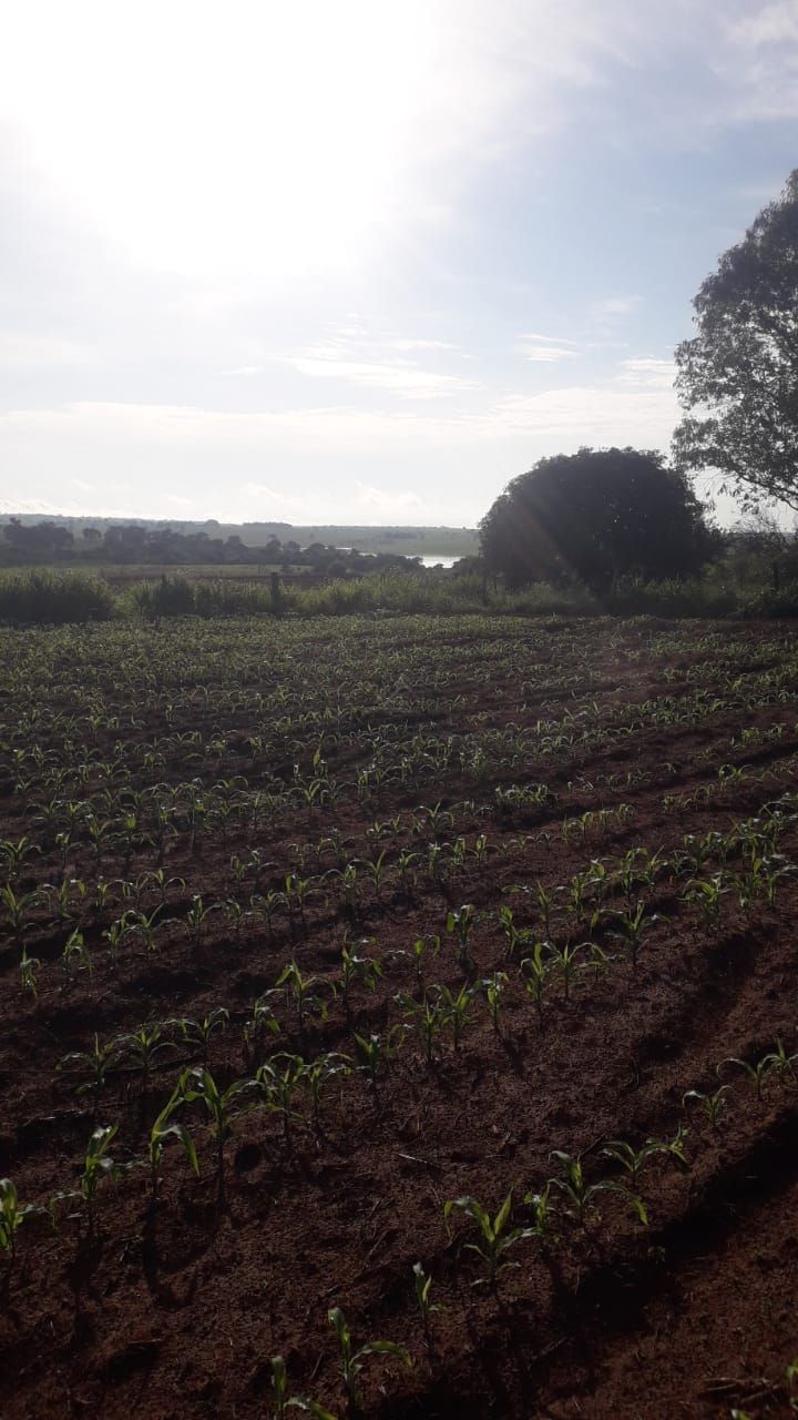 Chácara, 2 quartos, 24 hectares - Foto 5