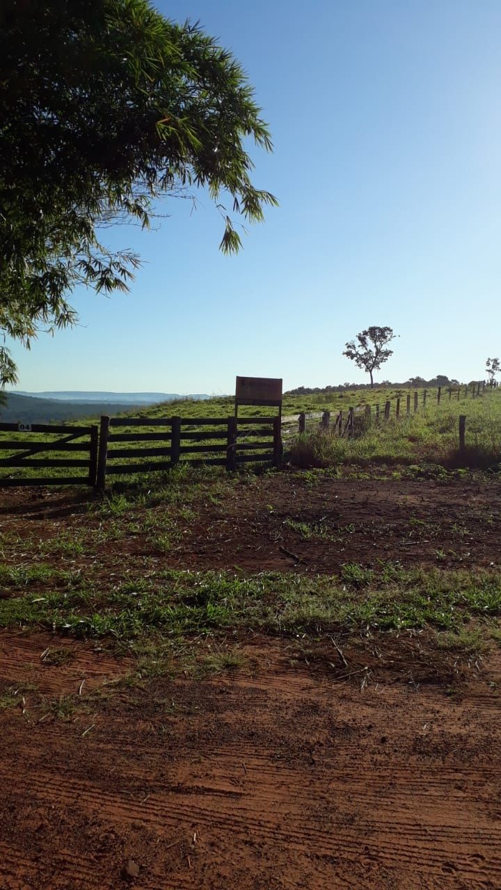 Fazenda, 740 hectares - Foto 6