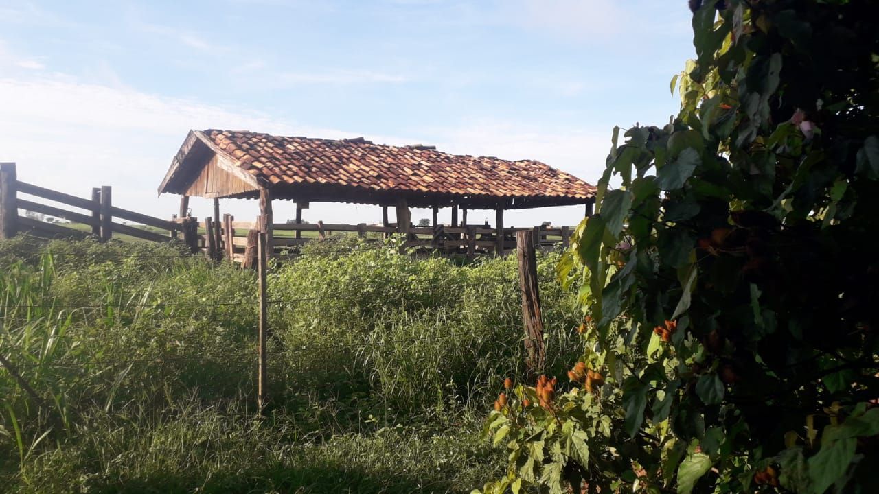 Chácara, 2 quartos, 24 hectares - Foto 7