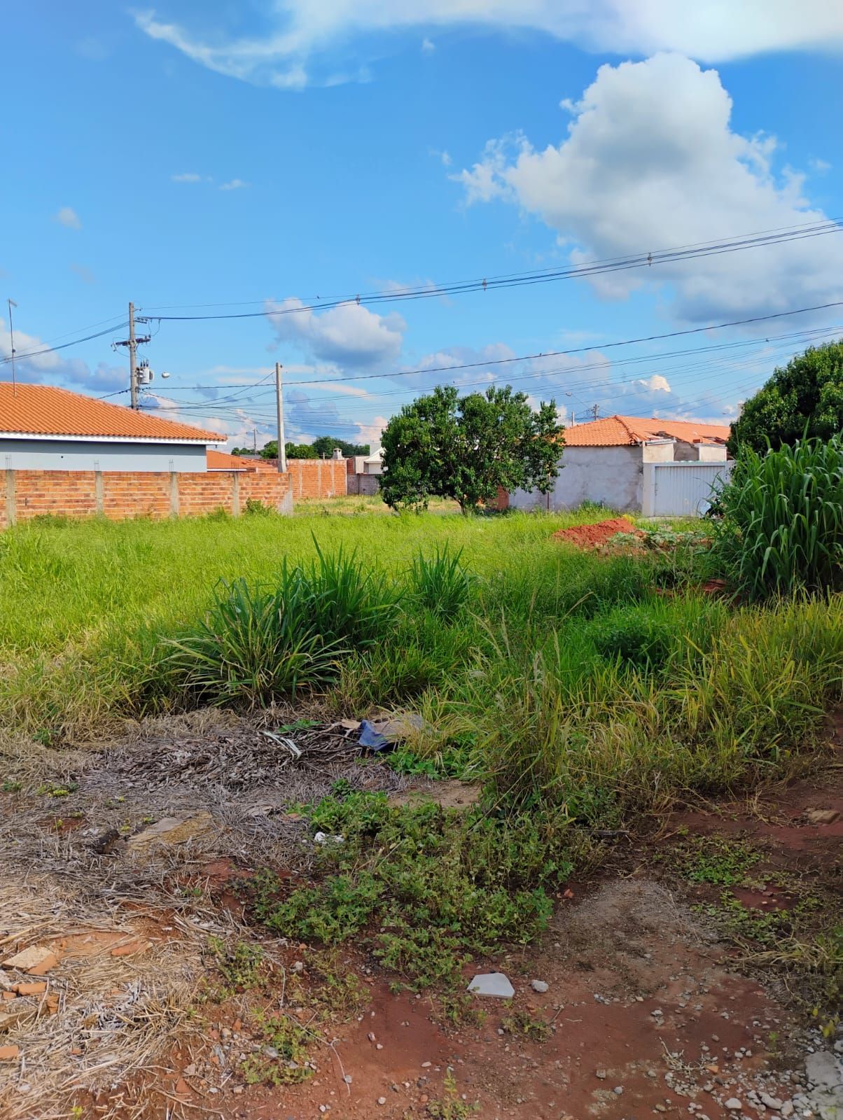 Terreno, 255 m² - Foto 6