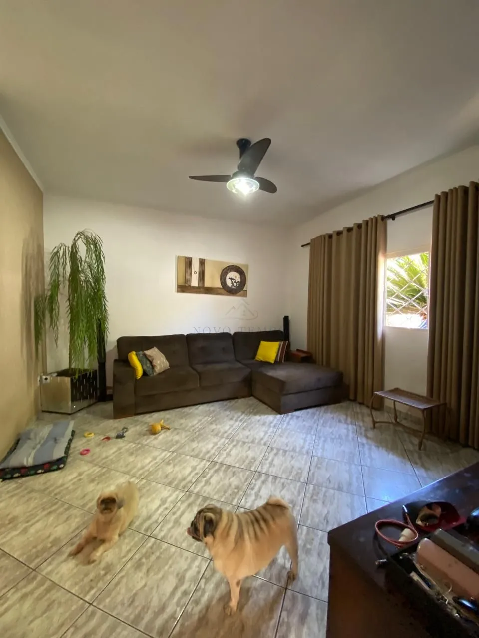 Casa, 3 quartos, 218 m² - Foto 1