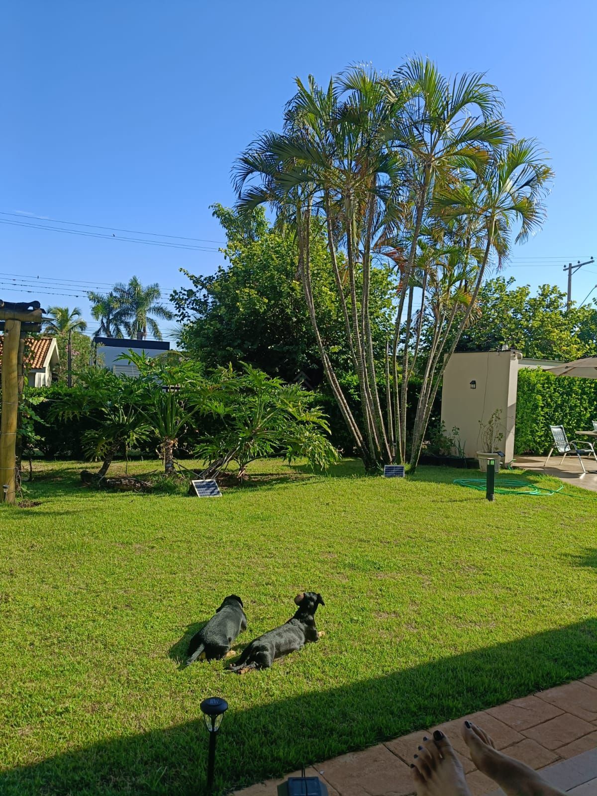 Sítio, 5 quartos, 500 m² - Foto 9