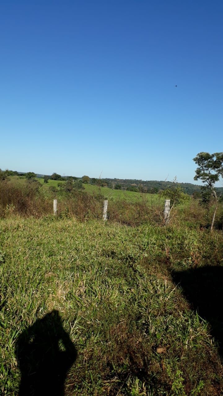 Fazenda, 740 hectares - Foto 3
