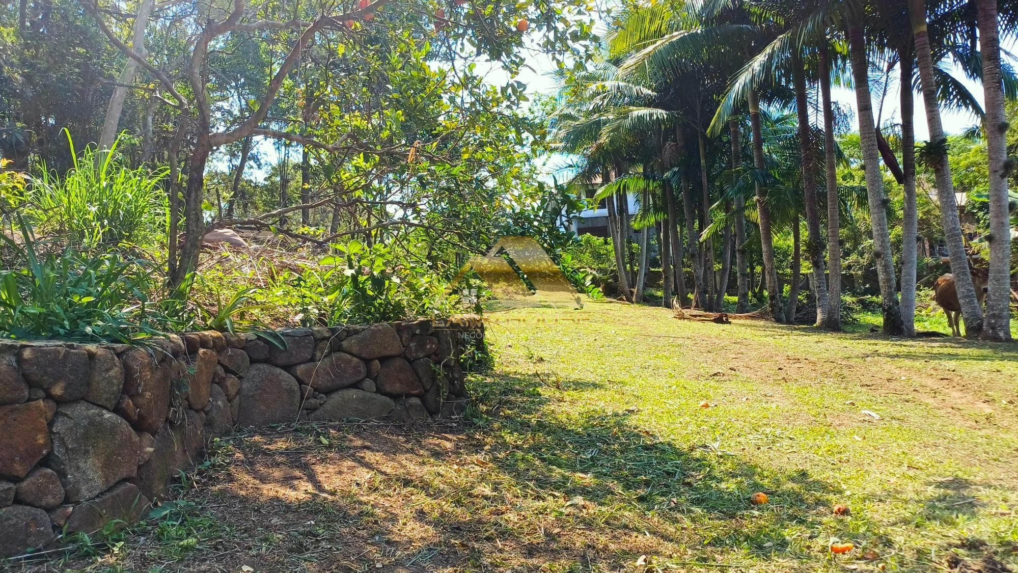 Terreno, 1528 m² - Foto 13