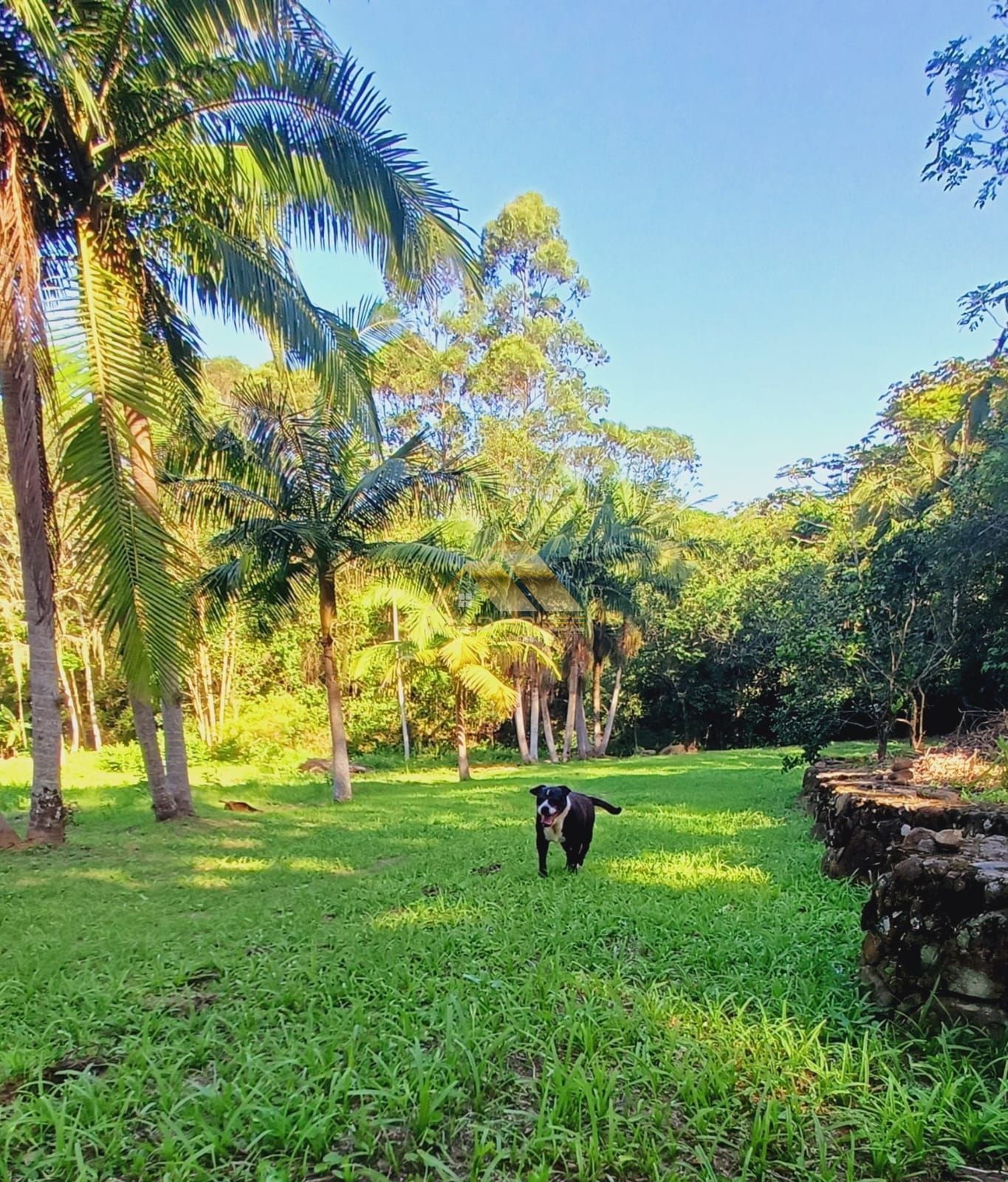 Terreno, 1528 m² - Foto 24