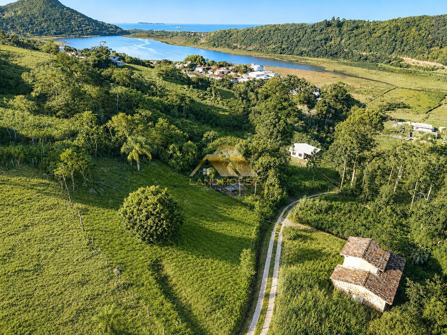 Terreno, 1503 m² - Foto 6