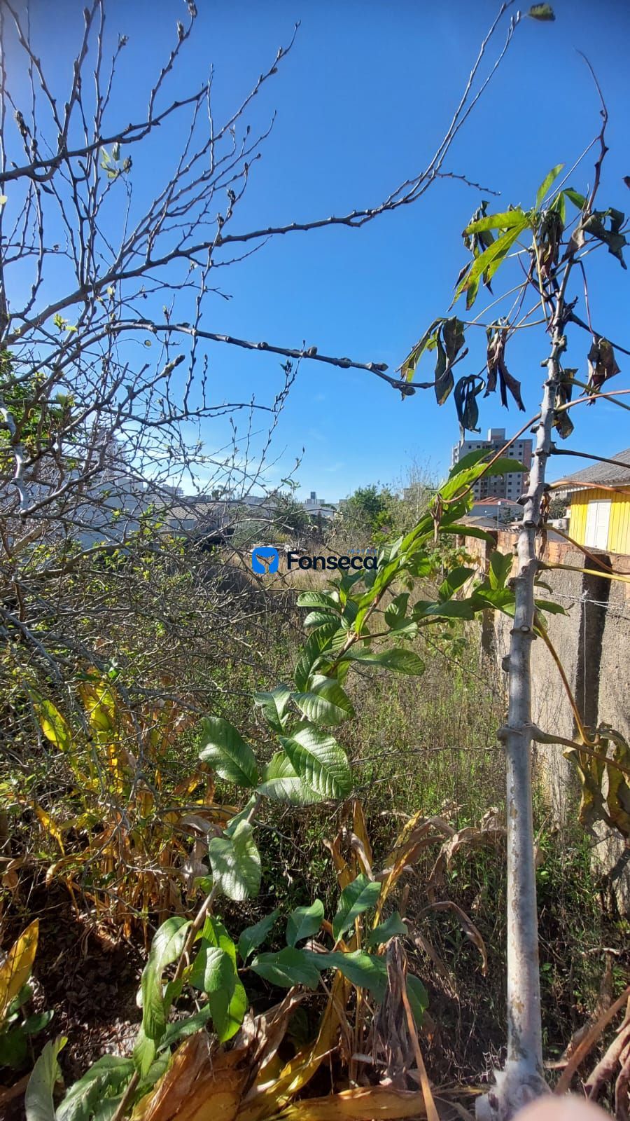 Terreno no Mar Grosso