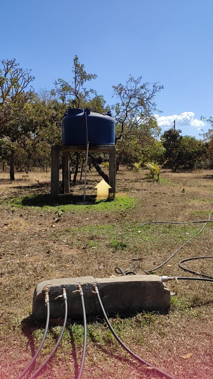 Sítio, 4 quartos, 18 hectares - Foto 5