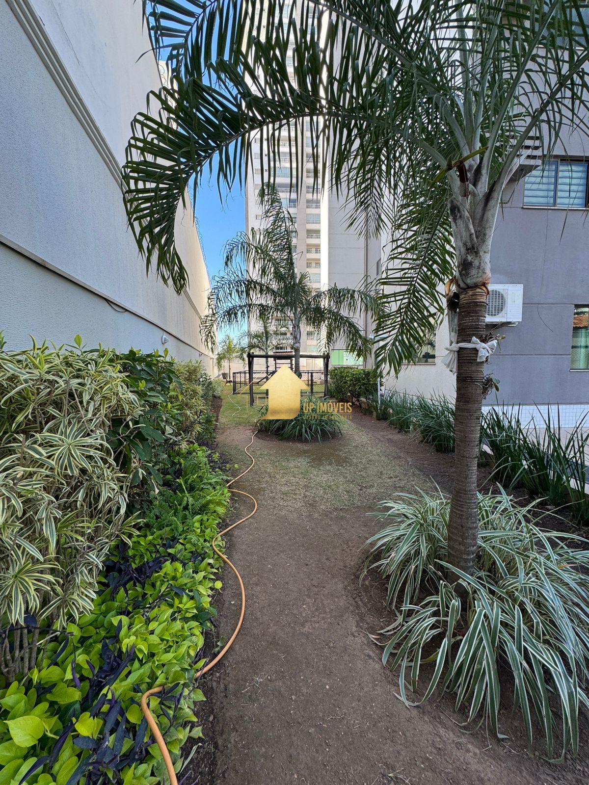 Apartamento, 3 quartos, 80 m² - Foto 2