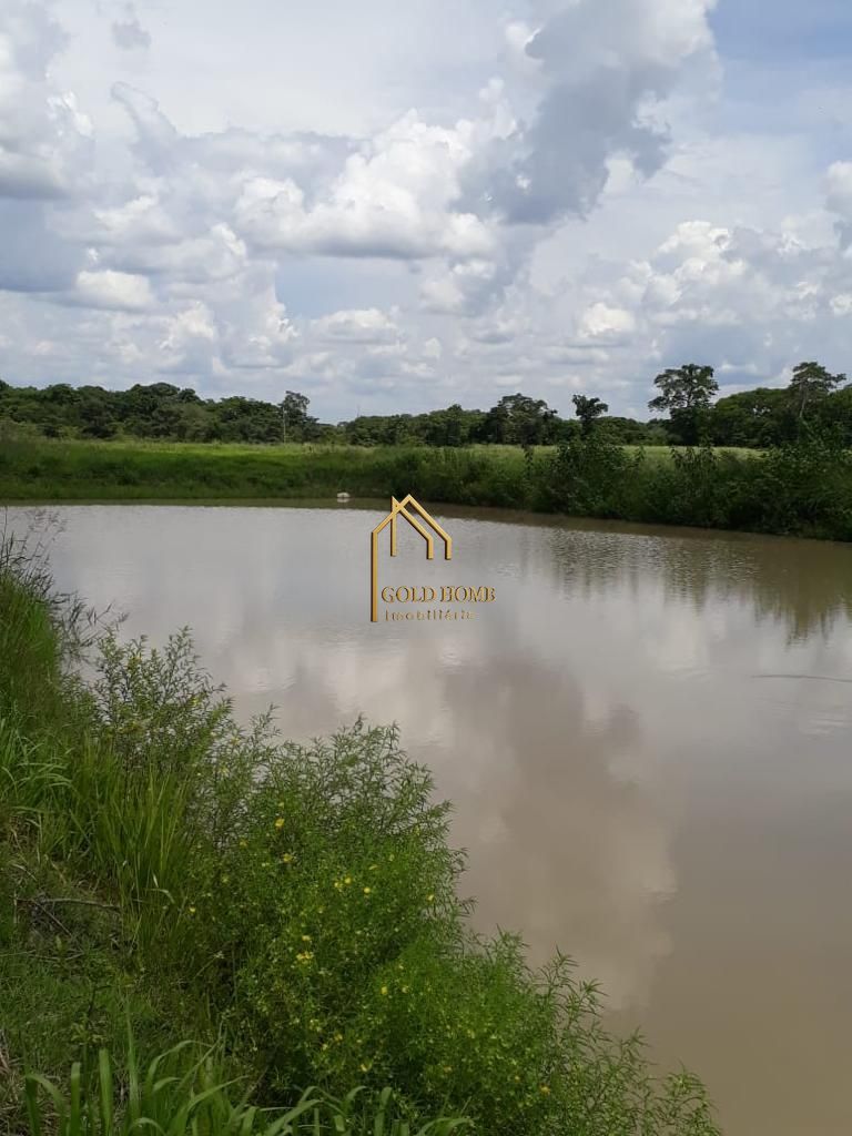 Sítio, 2 quartos, 10 hectares - Foto 13