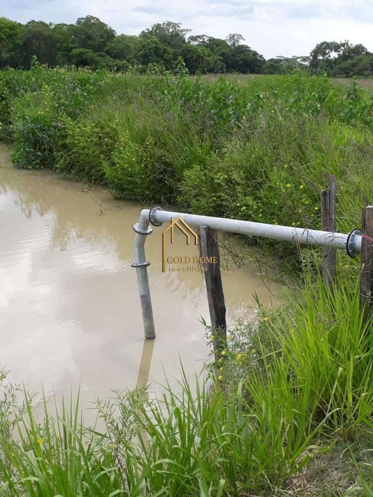 Sítio, 2 quartos, 10 hectares - Foto 10