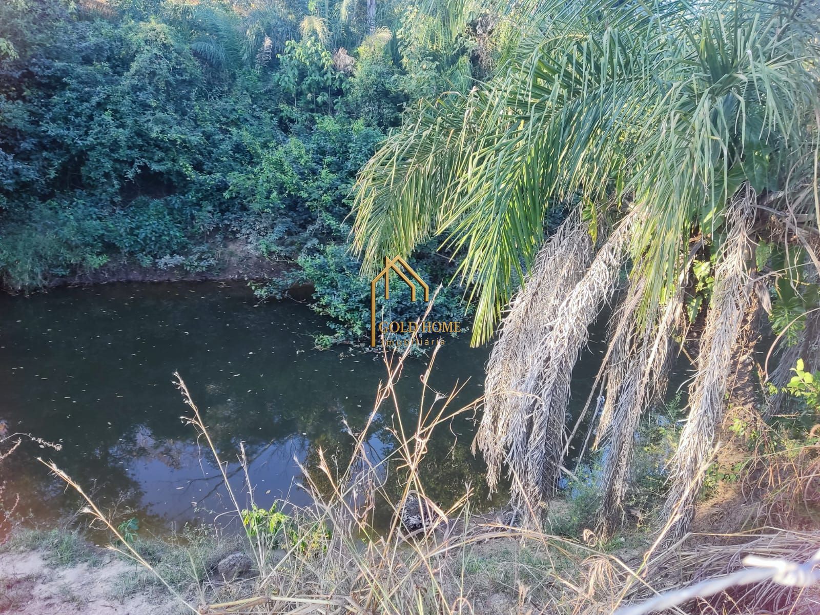 Chácara, 2 quartos, 4400 m² - Foto 2