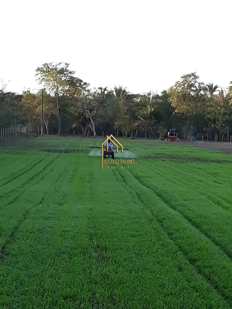 Sítio, 2 quartos, 10 hectares - Foto 49