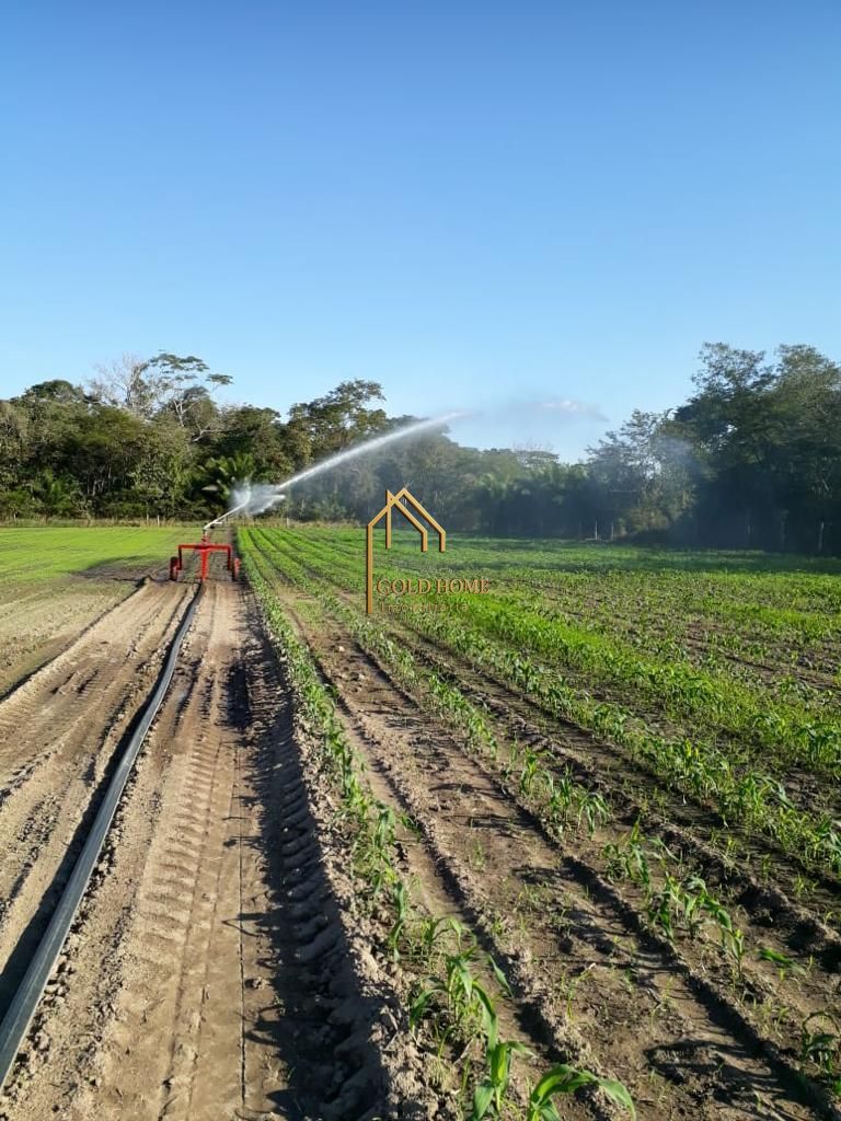 Sítio, 2 quartos, 10 hectares - Foto 41