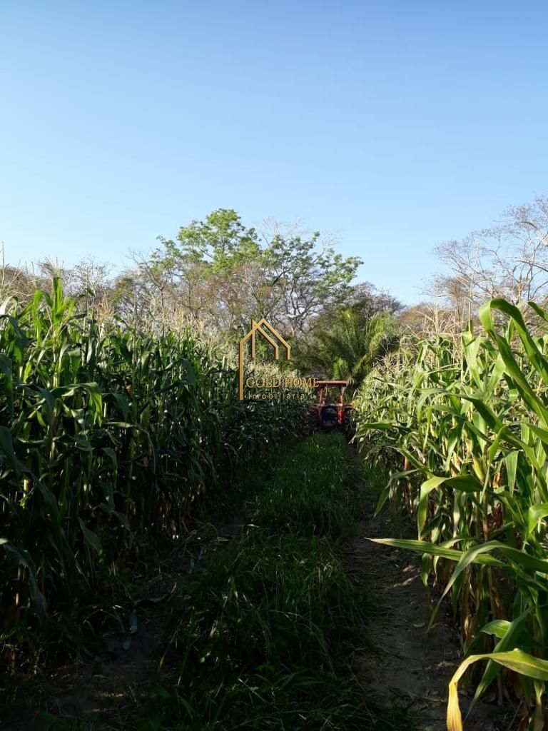 Sítio, 2 quartos, 10 hectares - Foto 27