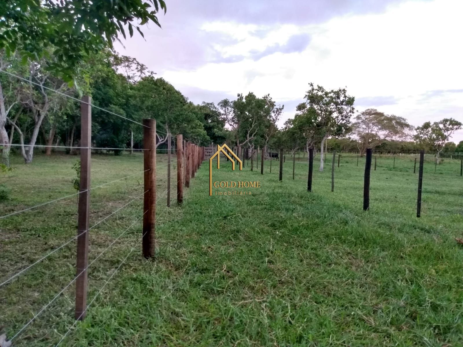 Fazenda, 100 hectares - Foto 7