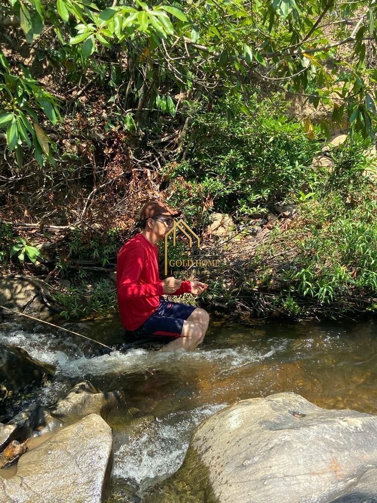 Chácara, 4 quartos, 1 hectares - Foto 10