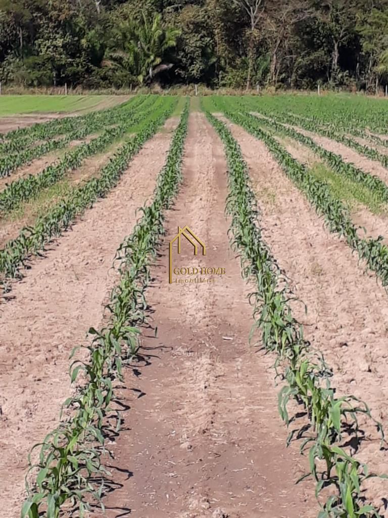 Sítio, 2 quartos, 10 hectares - Foto 38