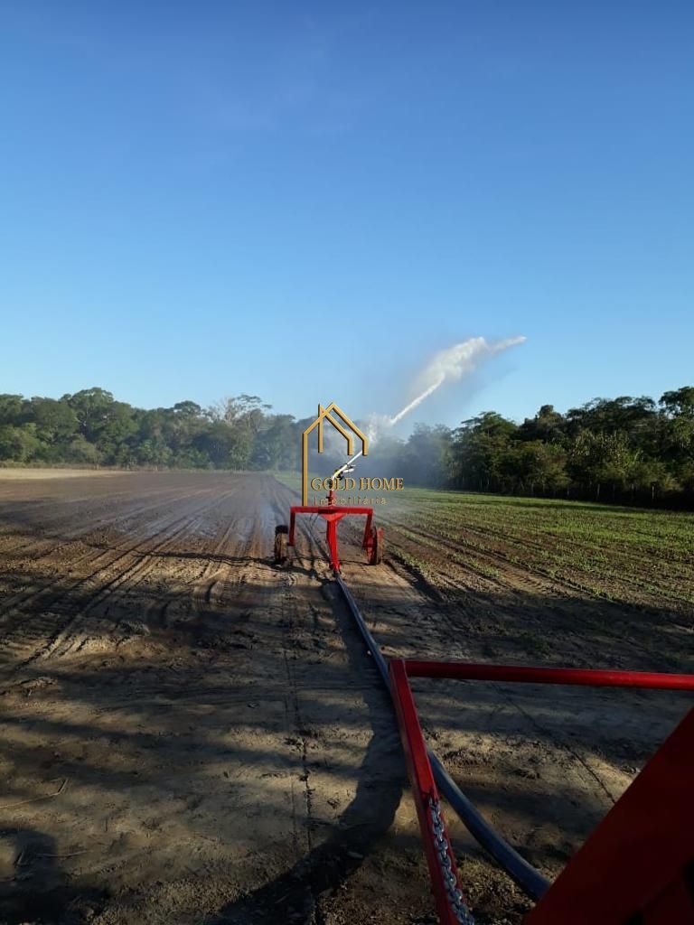 Sítio, 2 quartos, 10 hectares - Foto 43