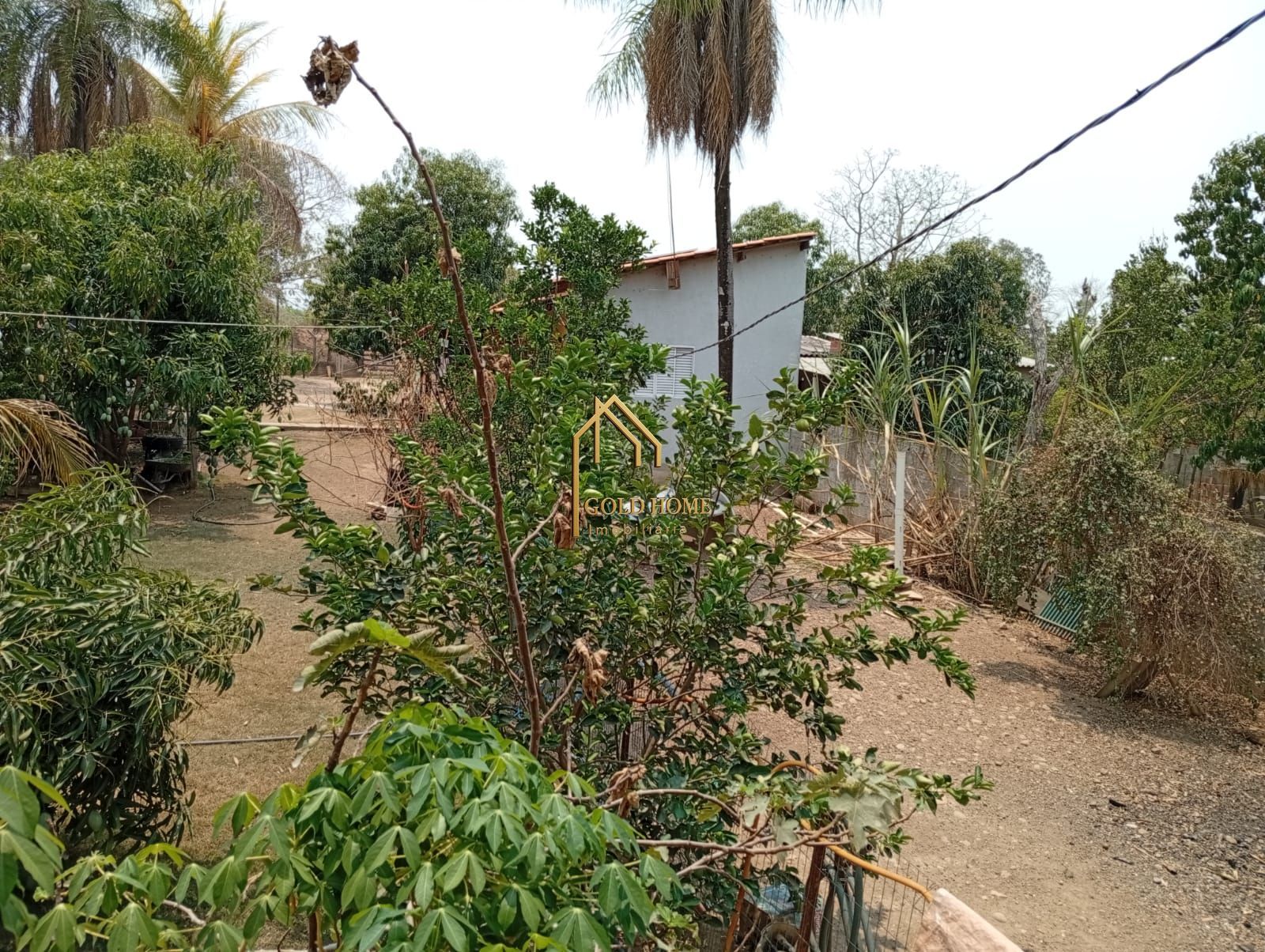 Chácara, 4 quartos, 5000 m² - Foto 49